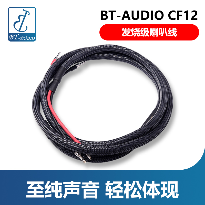 BT-AUDIO CF12发烧级喇叭线